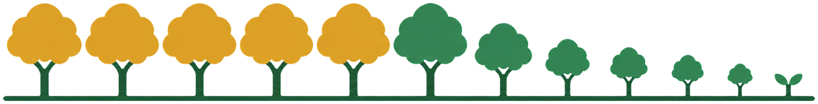 Twelve months as a row of trees. The five months whose dividends already landed carry gold crowns; the months still coming are green and younger, down to a sprout at the year's end.